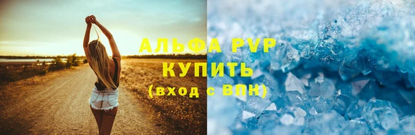 стаф Гусев