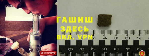 стаф Гусев