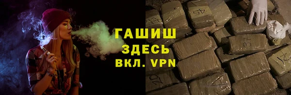 стаф Гусев