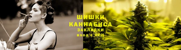 стаф Гусев