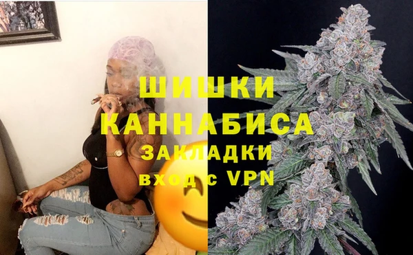 молекула духа Гусиноозёрск