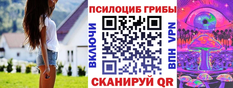 Галлюциногенные грибы Cubensis  продажа наркотиков  Злынка 